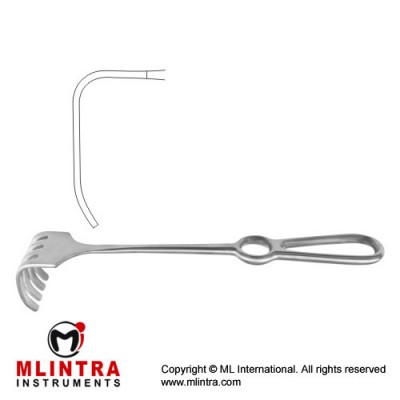 Israel Retractor 6 Blunt Prongs Stainless Steel, 25.5 cm - 10" Blade Size 50 x 60 mm